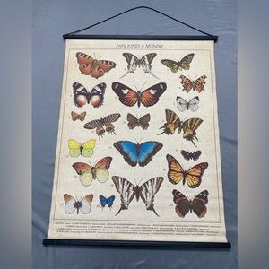 Butterflies in the World “Papiliones in Mundo” Hanging Wall Decor Nature Art